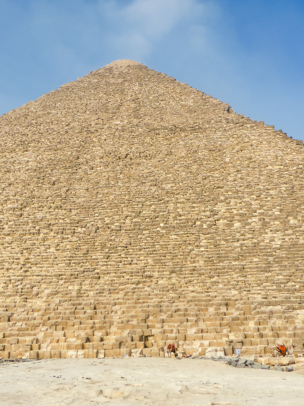 Größenvergleich zwischen Cheops Pyramide und Kamel