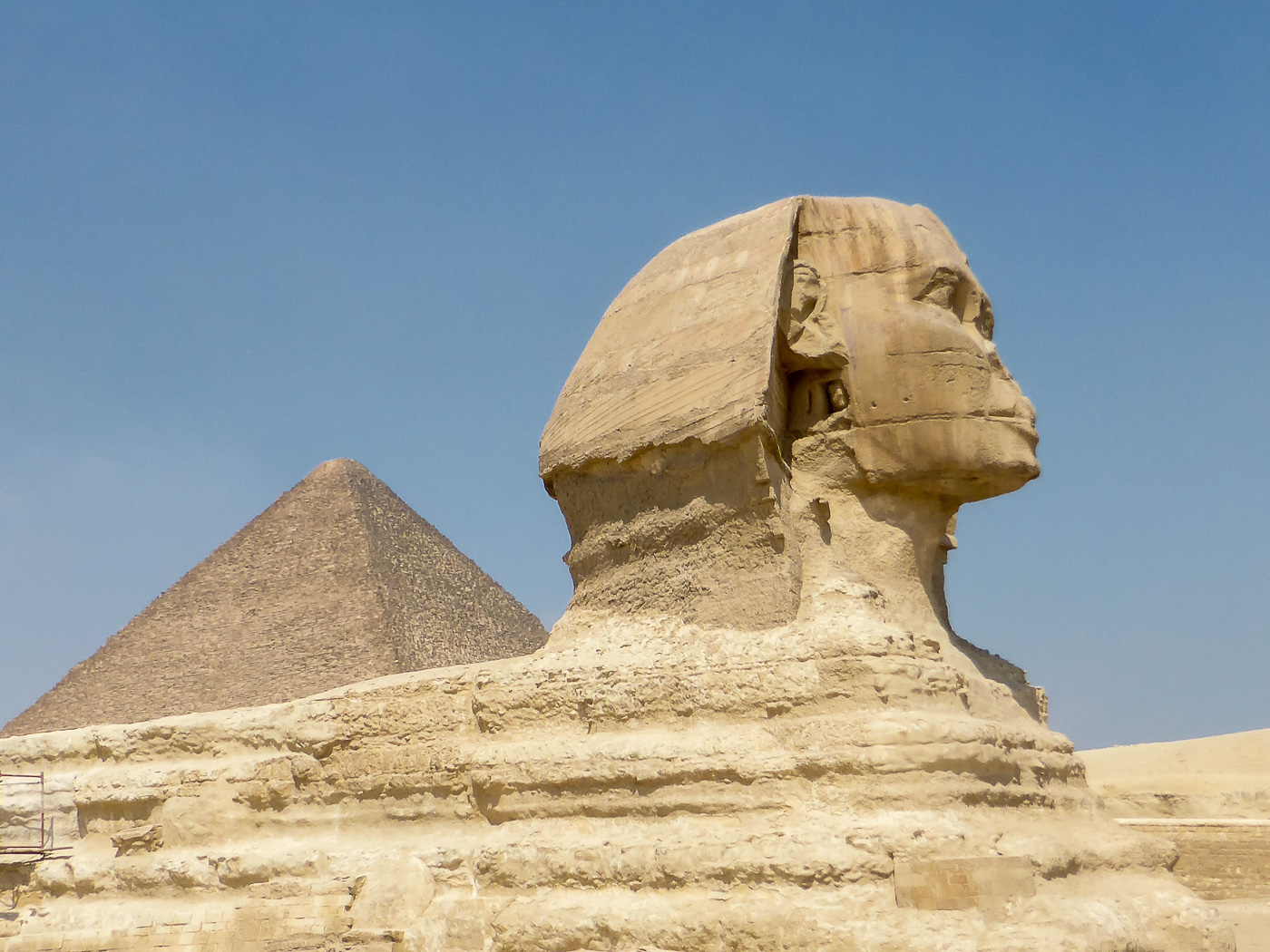Die Länge der Sphinx beträgt rund 73 Meter, wovon 15 Meter auf die ausgestreckten Vorderbeine entfallen. Das Gesicht der Sphinx ist vier Meter breit, der Kopf mit Kopftuch sechs Meter. Die Höhe der Sphinx beträgt 20 Meter.