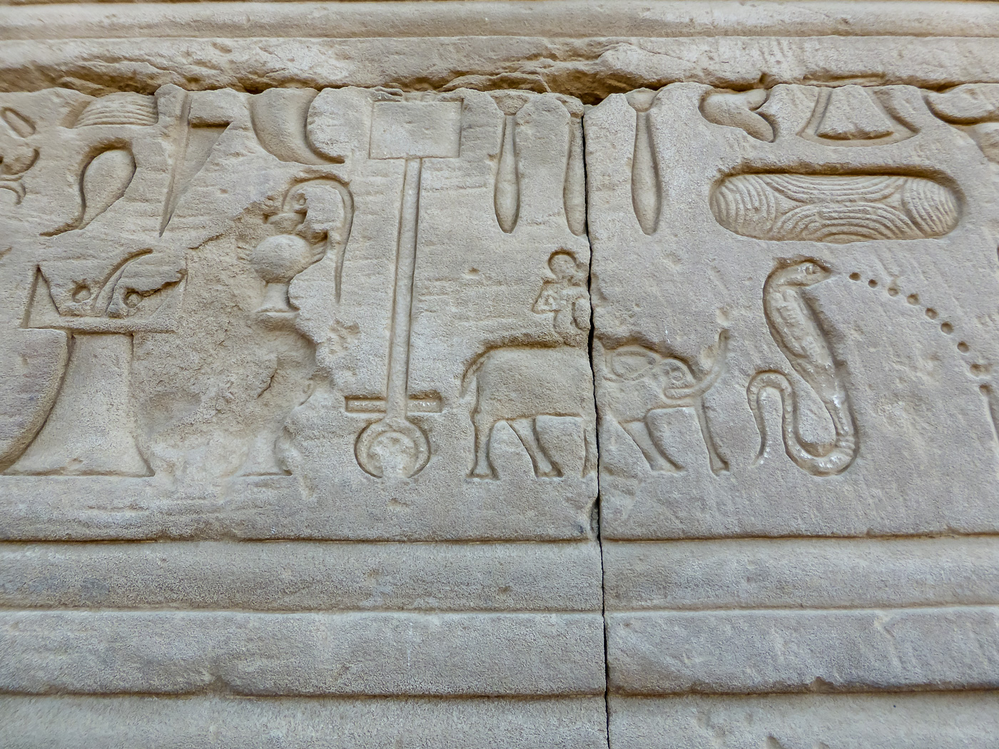 Eine Elefantendarstellung in einem Relief ist eine Besonderheit.