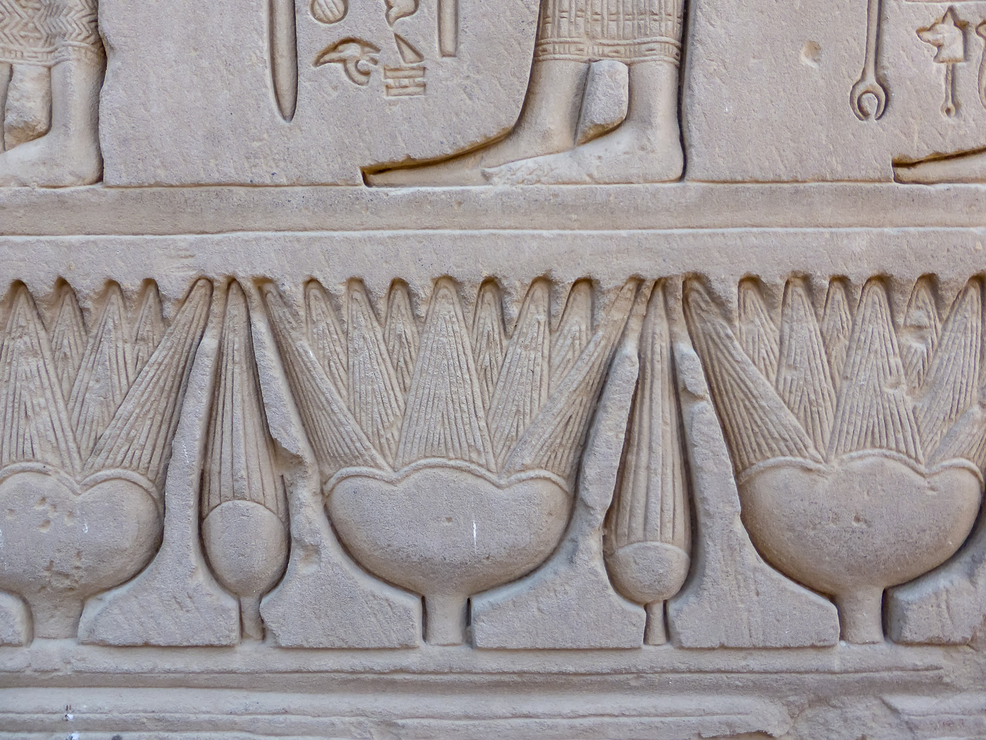 Darstellung des Papyrus
